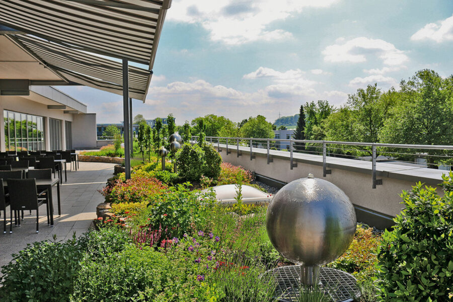 Durch Dach- und Fassaden­begrünung kann die Verdunstung auf einfache Art und Weise erhöht werden.