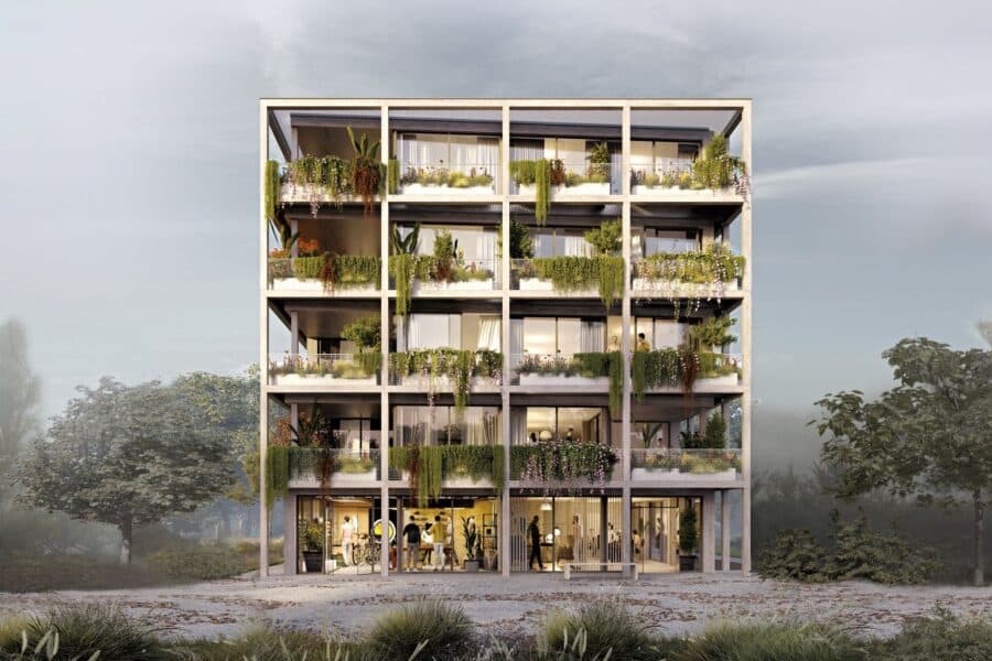 Aufwand und Ertrag von begrünten Fassaden: Low-Tech-Green Fassadenbegrünung