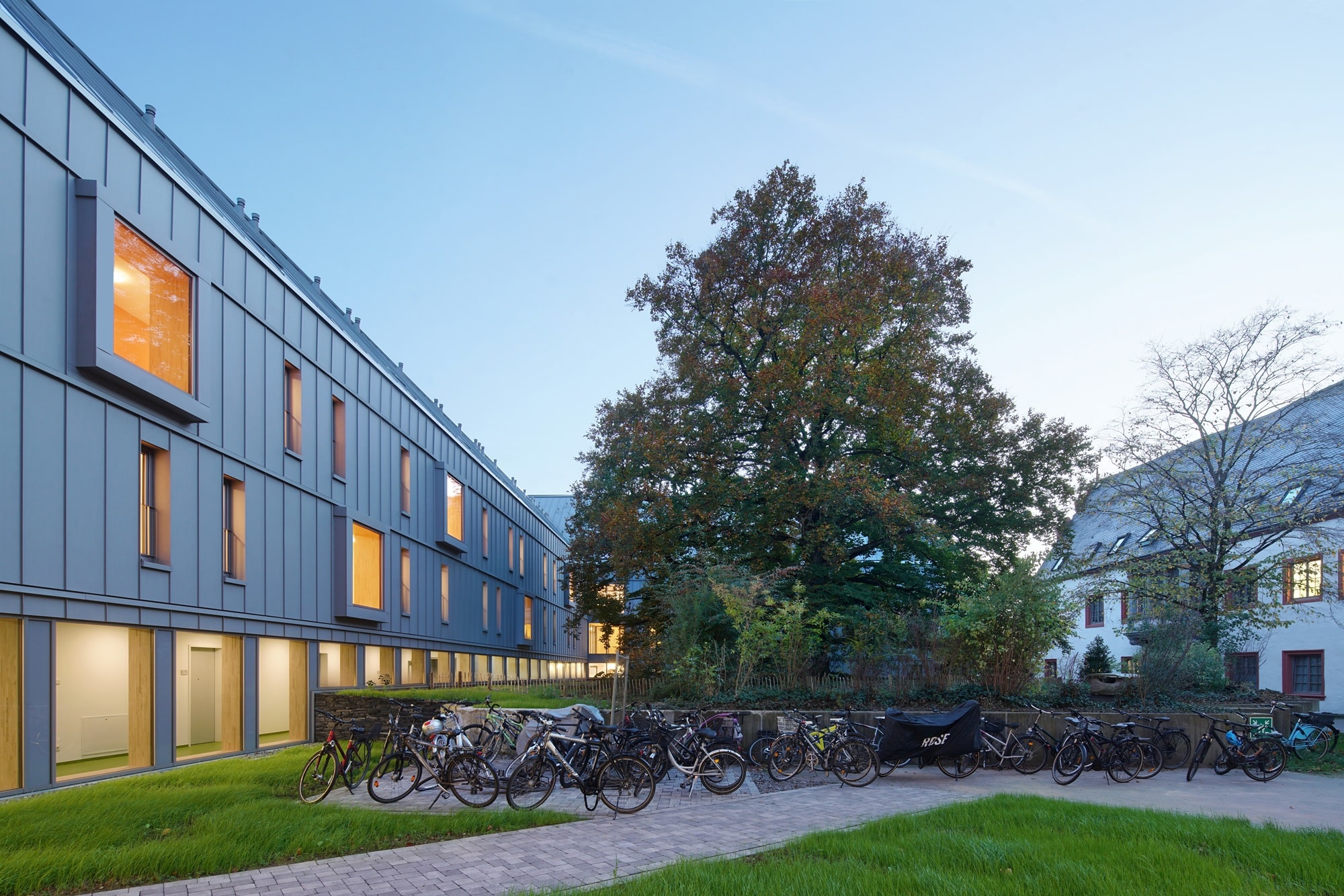 Studierendenwohnheim in modularer Holzbauweise: Haus am Baum